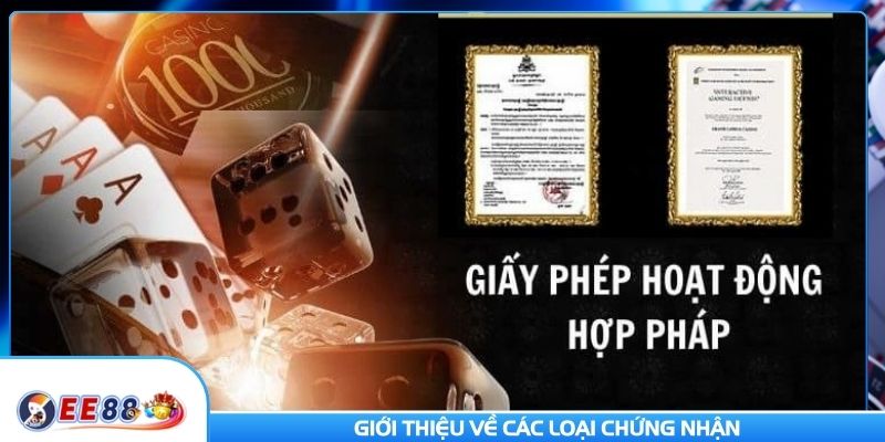 Giới thiệu về các loại chứng nhận