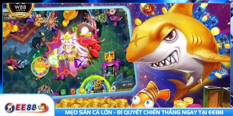 Mẹo Săn Cá Lớn