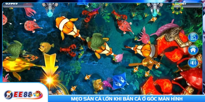 Mẹo săn cá lớn khi bắn cá ở góc màn hình