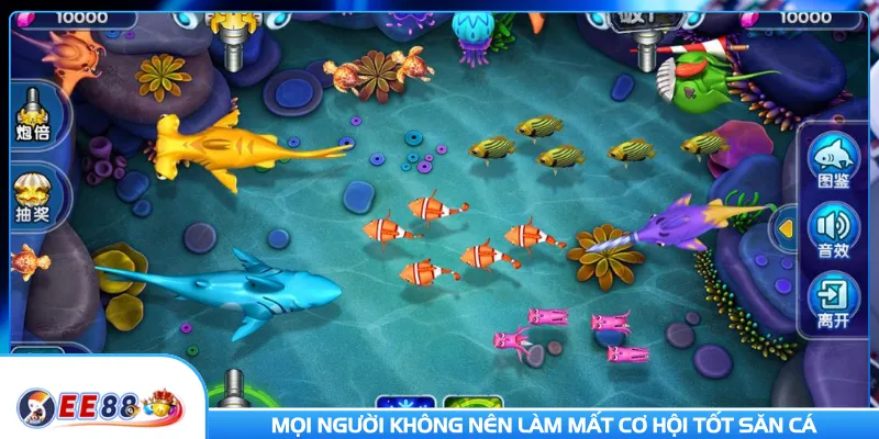 Mọi người không nên làm mất cơ hội tốt săn cá